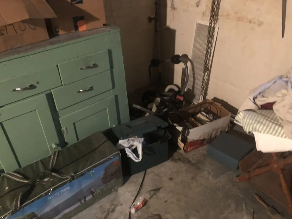 Affordable lawn care service for year-round maintenance in Spotsylvania, VA by 8 Speed Junk Removal