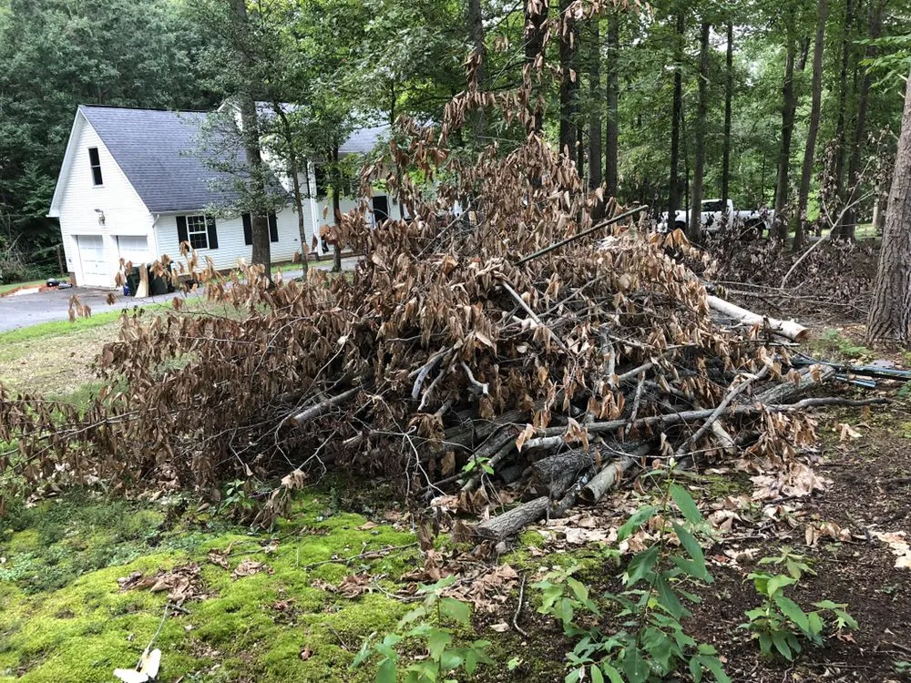 Top-rated lawn care service in Spotsylvania, VA - 8 Speed Junk Removal