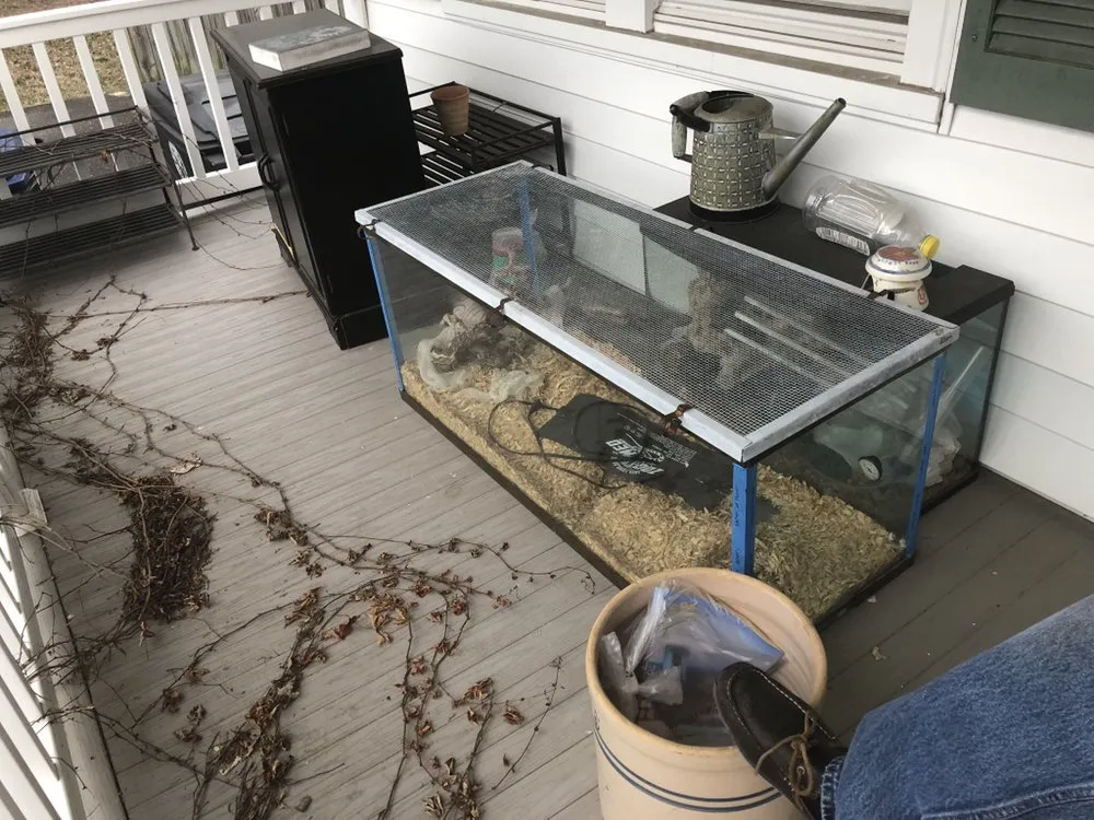 Professional landscaping services in Spotsylvania, VA by 8 Speed Junk Removal