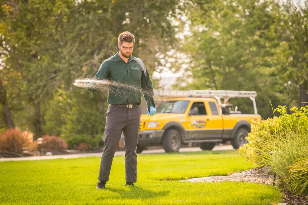 Reliable residential landscaping in Cedar Hills, UT - 800 Lawn Care