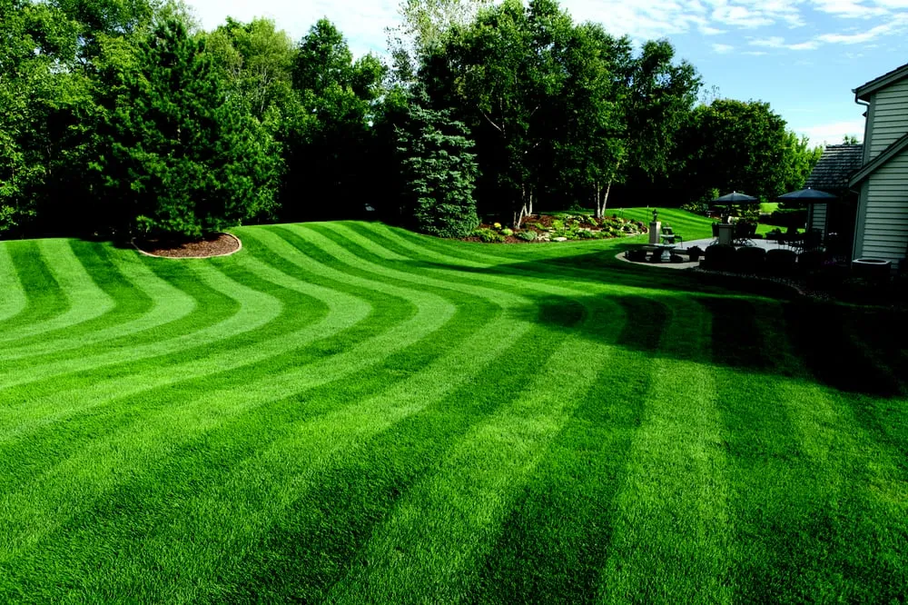 Top-rated yard cleanup service in Cedar Hills, UT by 800 Lawn Care