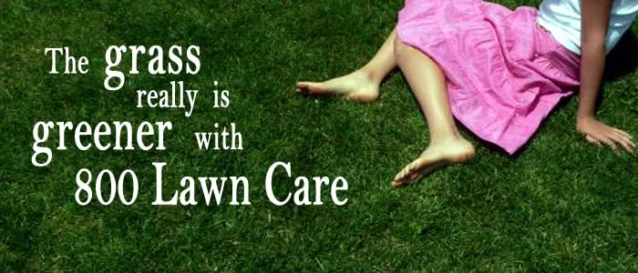 Affordable lawn mowing service in Cedar Hills, UT - 800 Lawn Care