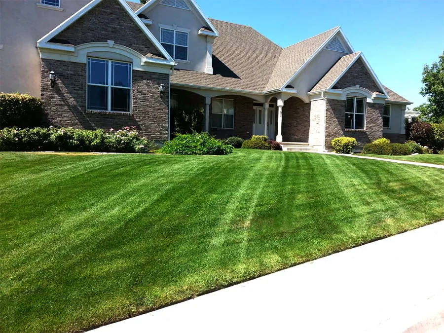 Custom landscaping services experts serving Cedar Hills, UT - 800 Lawn Care