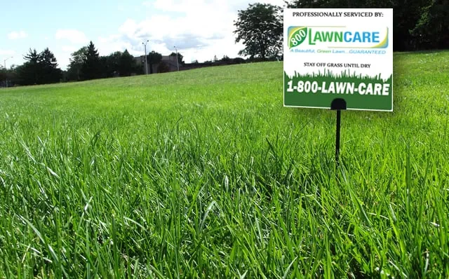 Custom garden landscaping in Cedar Hills, UT by 800 Lawn Care