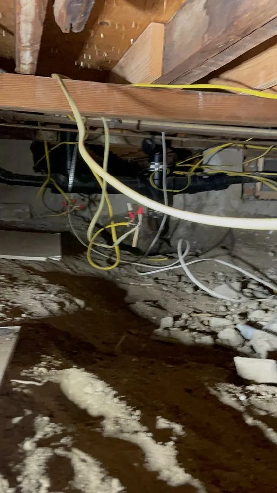 Affordable outdoor landscaping in Los Angeles, CA - 800 Remodeling