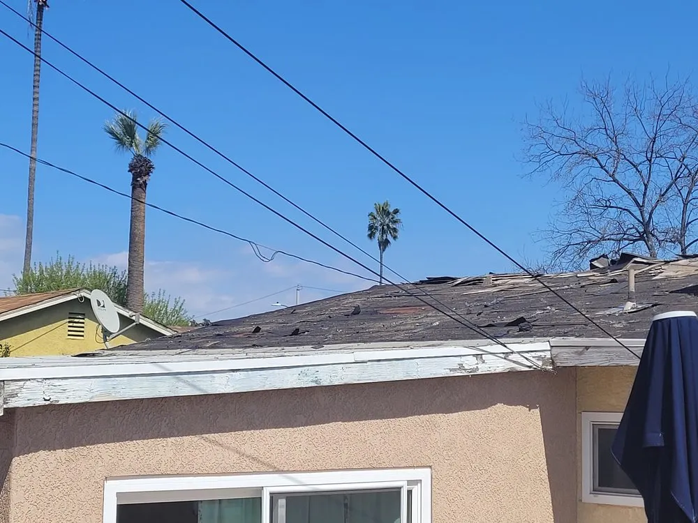 Expert landscape design in Los Angeles, CA by 800 Remodeling