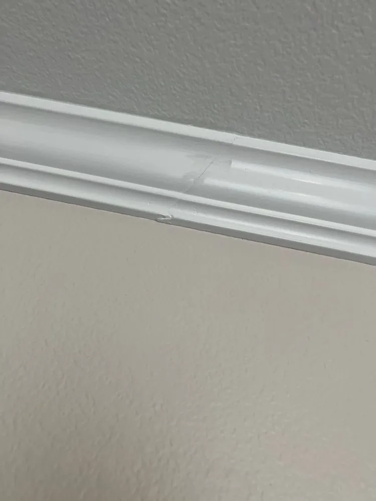 Trusted yard maintenance experts serving Los Angeles, CA - 800 Remodeling