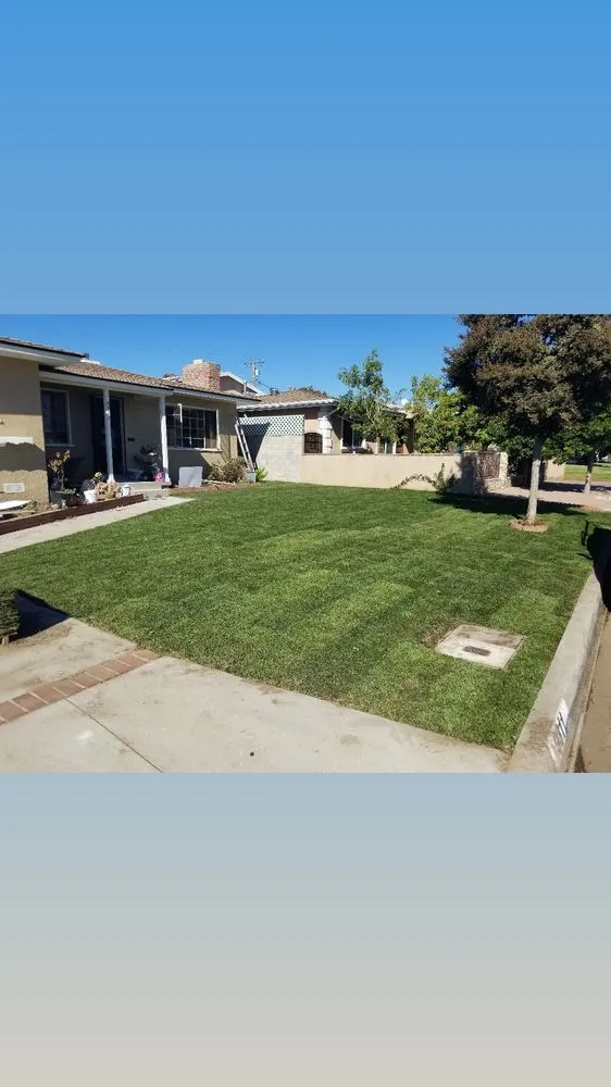 Professional outdoor landscaping in Los Angeles, CA by 800 Remodeling