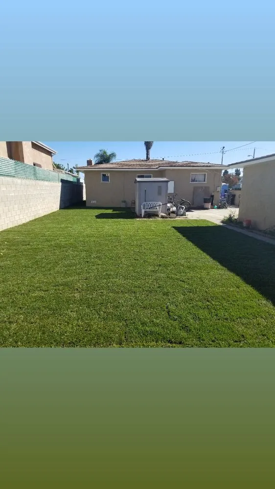 Local landscape installation for residential properties in Los Angeles, CA by 800 Remodeling