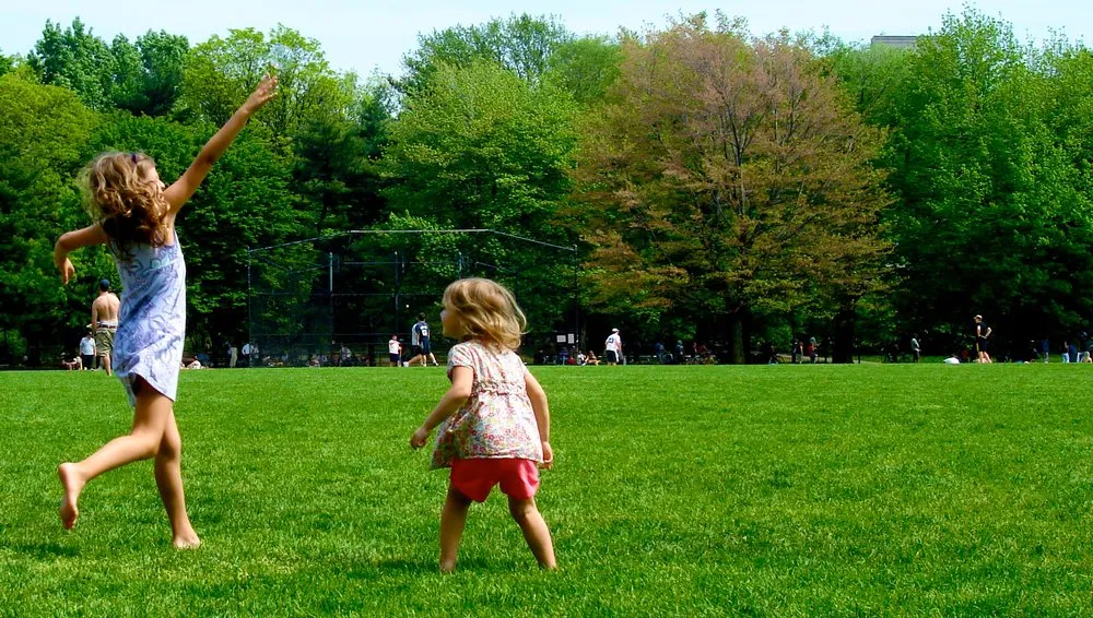 Affordable landscape installation experts serving Richmond, VA - 804 Lawn Care Pros