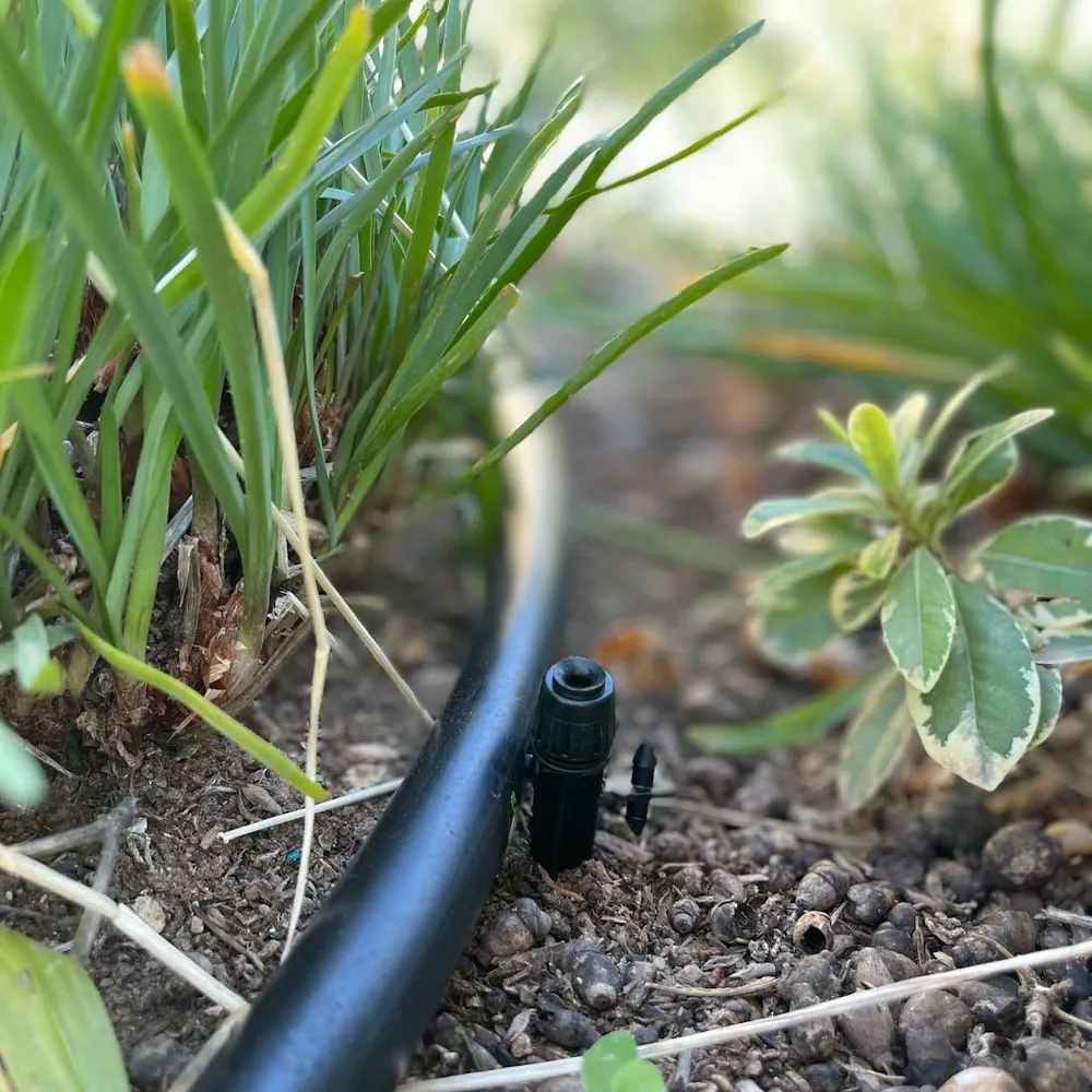 Reliable landscape design for year-round maintenance across Newbury Park, CA - 805 Drip Design