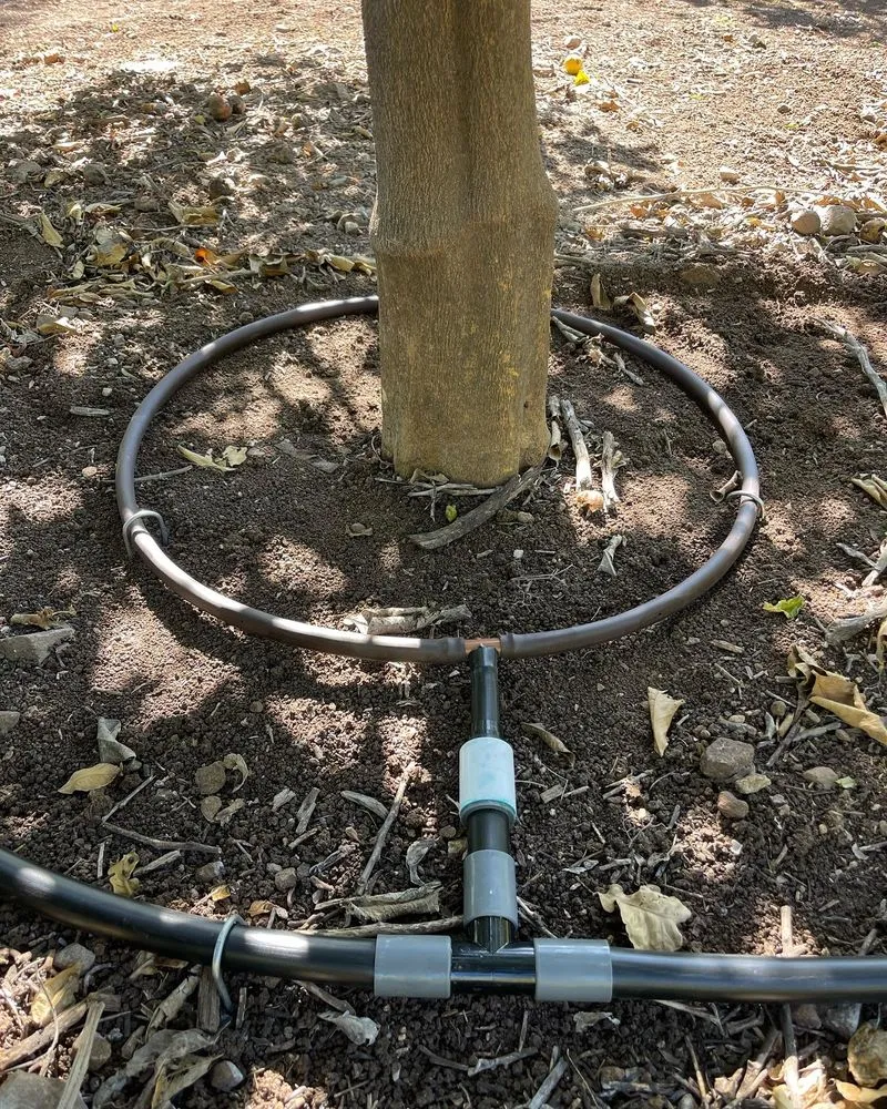 Top-rated yard maintenance in Newbury Park, CA by 805 Drip Design