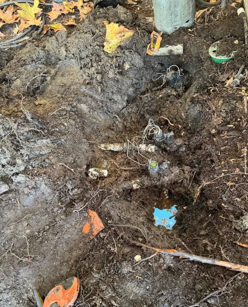 Affordable landscape design for residential properties in Newbury Park, CA by 805 Drip Design