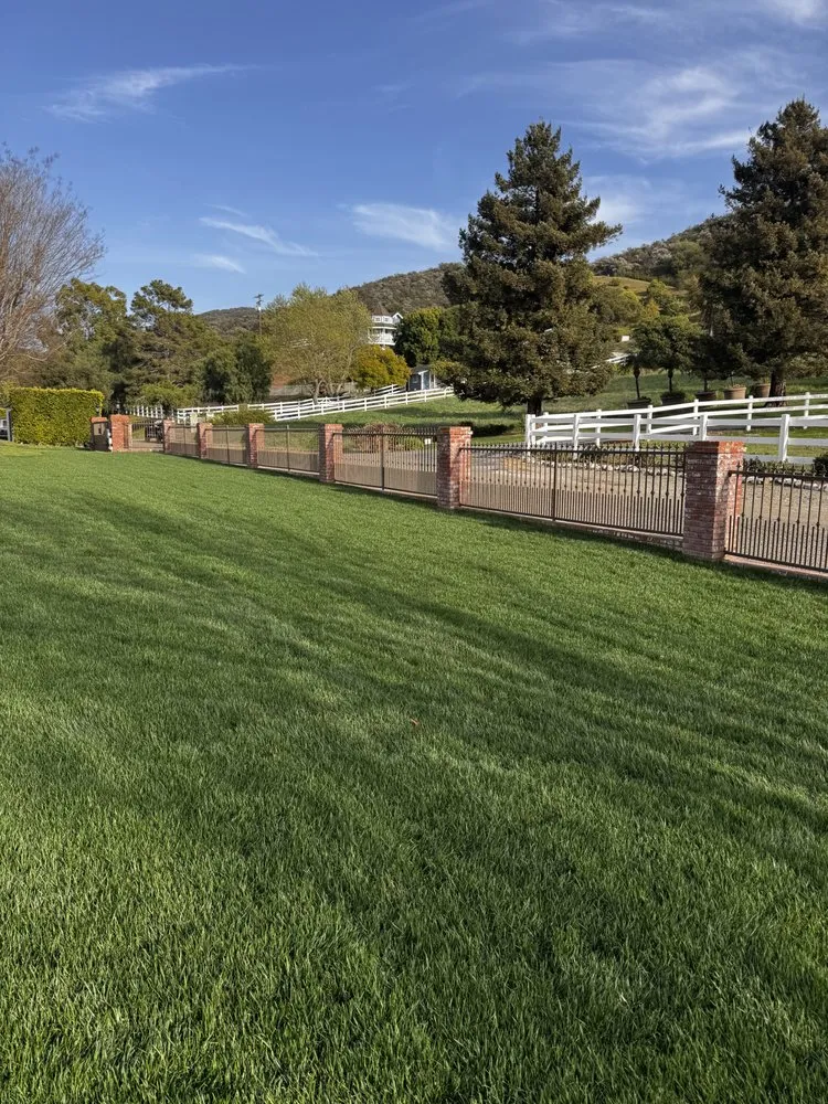 Trusted lawn mowing service near you in Newbury Park, CA by 805 Drip Design