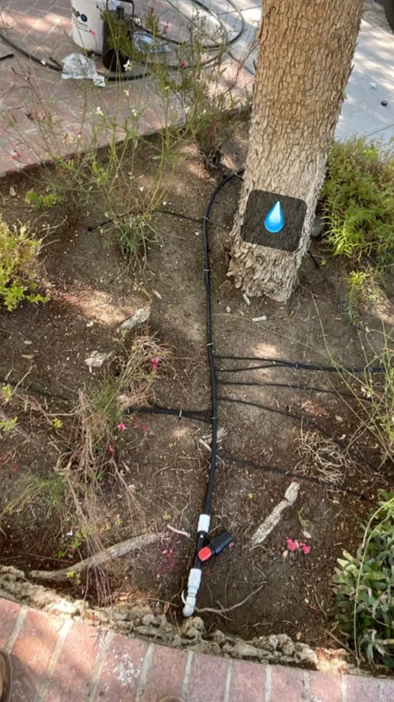 Trusted lawn care service for outdoor upgrades in Newbury Park, CA by 805 Drip Design