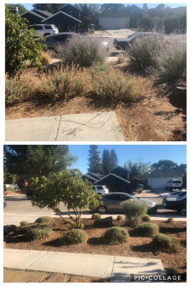 Reliable yard maintenance in Paso Robles, CA - 805 Landscaping And Maintenance