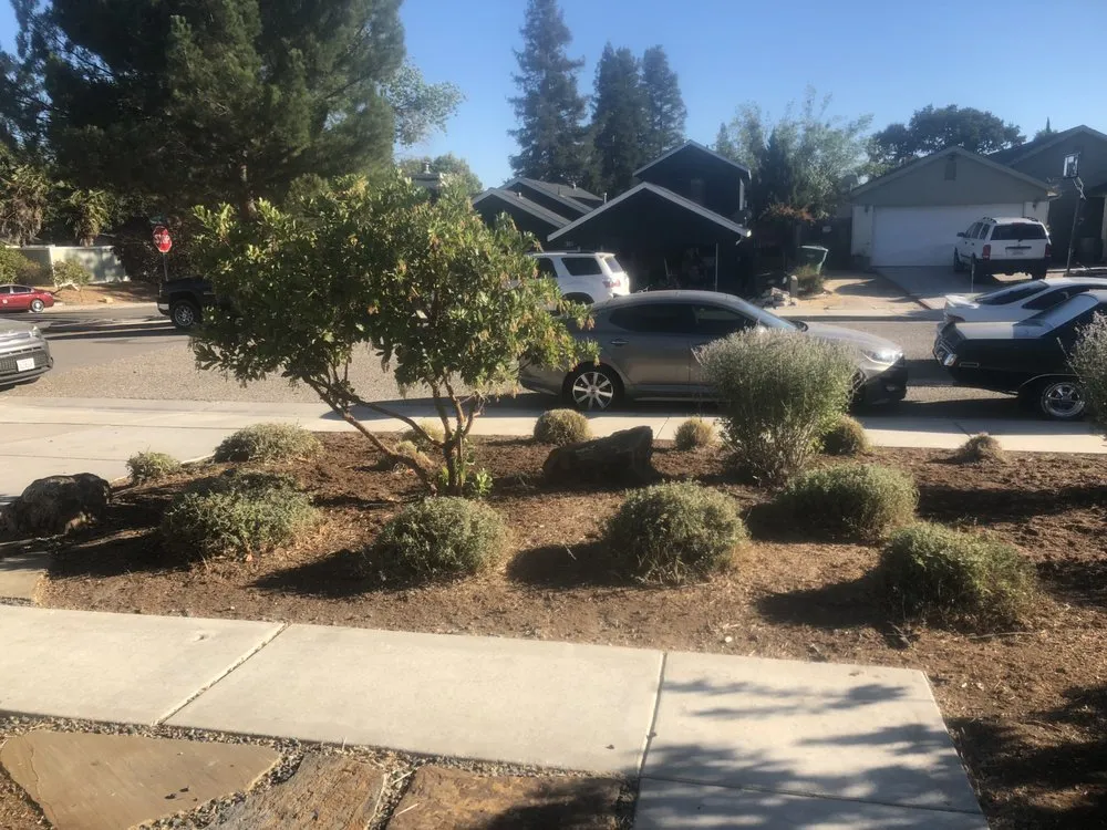 Affordable outdoor landscaping in Paso Robles, CA by 805 Landscaping And Maintenance