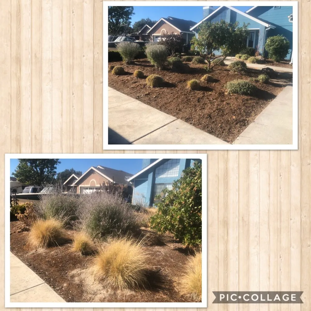 Top-rated lawn mowing service in Paso Robles, CA - 805 Landscaping And Maintenance