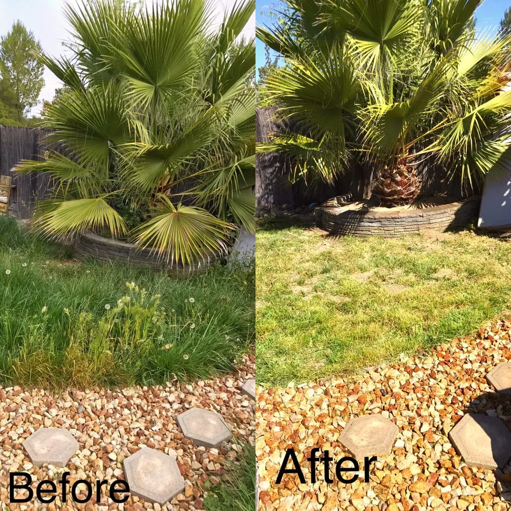 Top-rated residential landscaping with custom design across Paso Robles, CA - 805 Landscaping And Maintenance