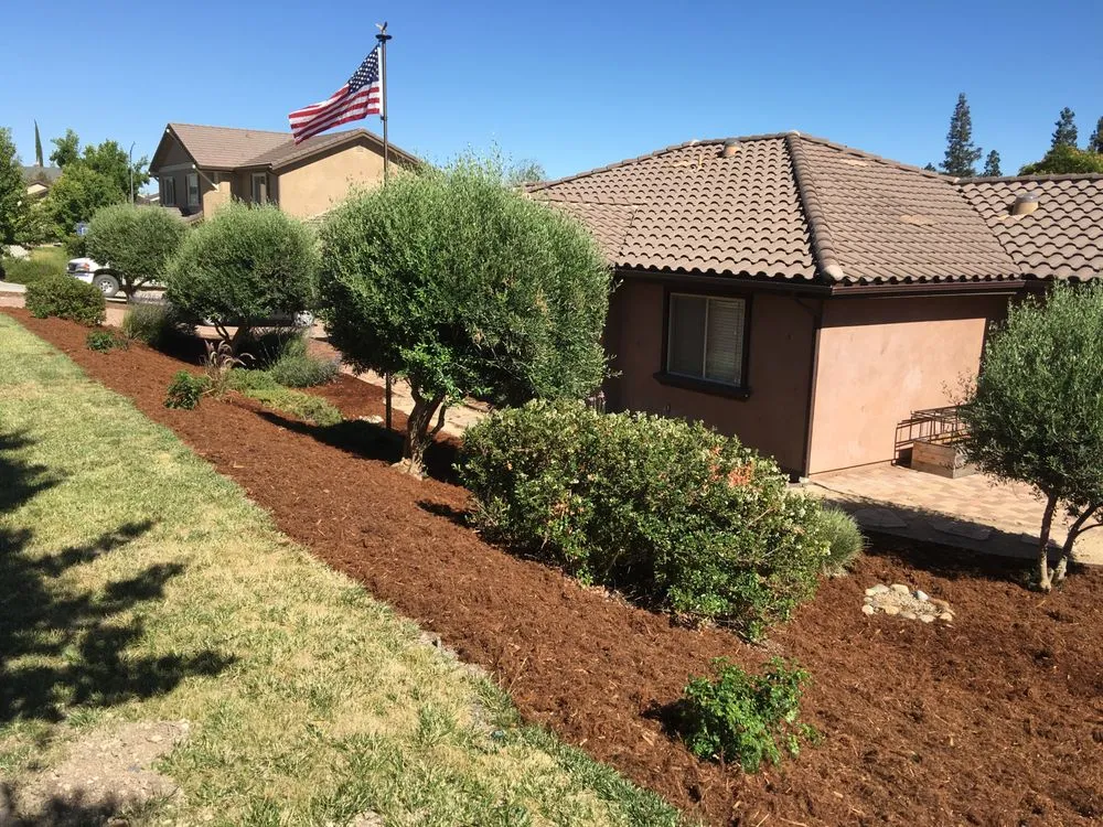Reliable yard cleanup service experts serving Paso Robles, CA - 805 Landscaping And Maintenance