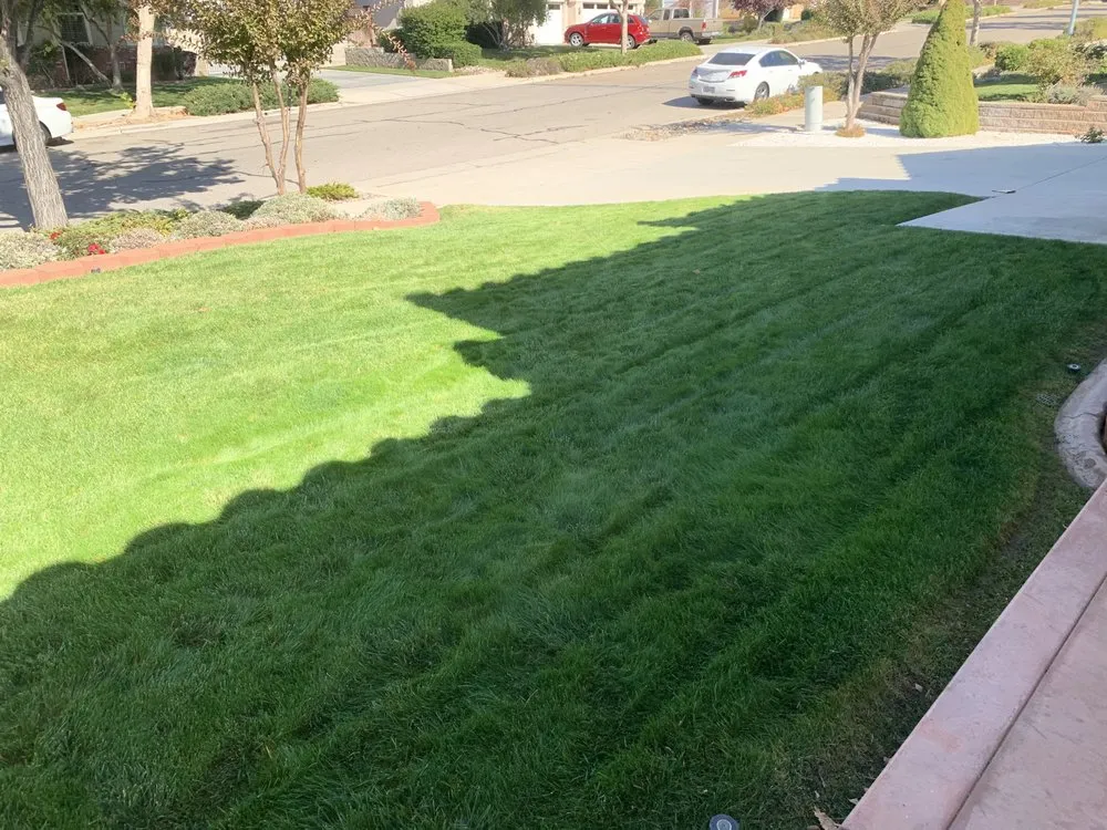 Reliable yard cleanup service experts serving Paso Robles, CA - 805 Landscaping And Maintenance