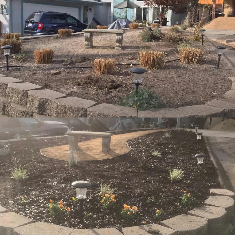 Professional landscaping services for homes across Paso Robles, CA - 805 Landscaping And Maintenance
