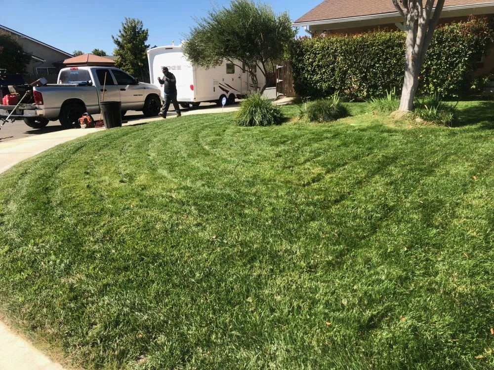 Custom yard maintenance experts serving Paso Robles, CA - 805 Landscaping And Maintenance