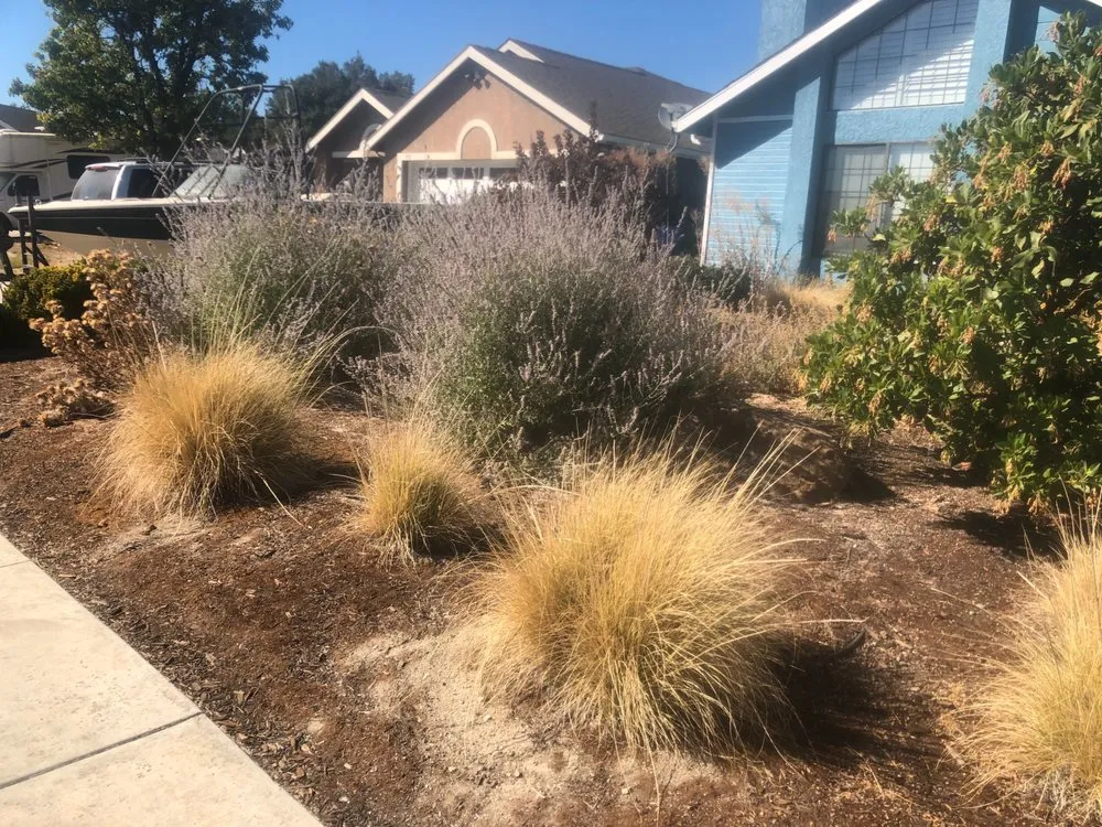 Reliable landscape installation with custom design in Paso Robles, CA by 805 Landscaping And Maintenance