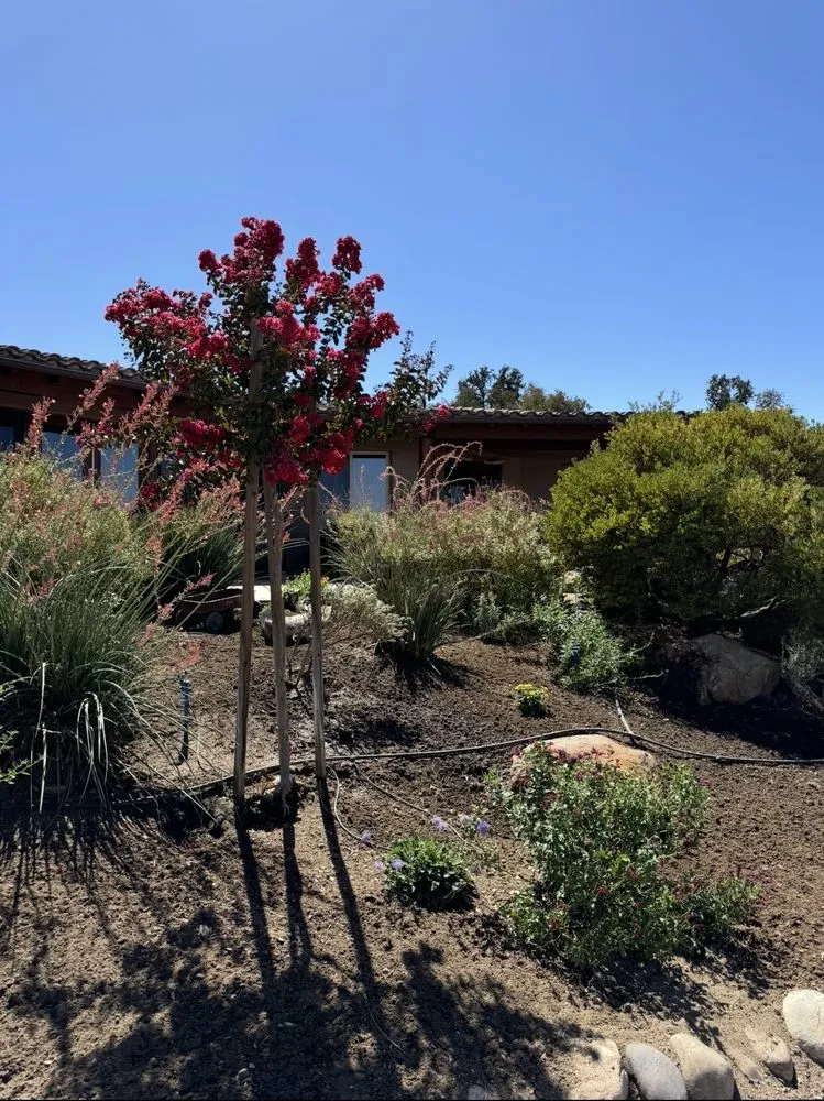 Custom residential landscaping experts serving Paso Robles, CA - 805 Lawn Care