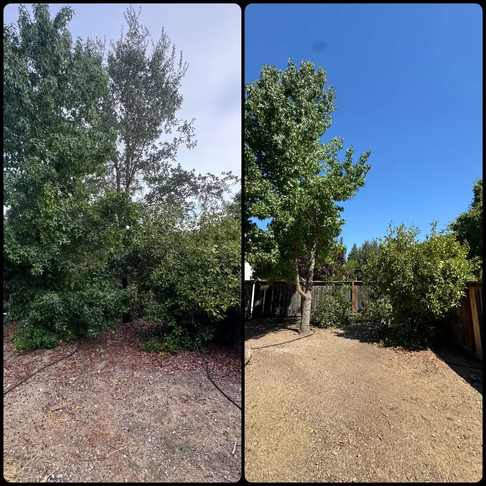 Top-rated landscaping services experts serving Paso Robles, CA - 805 Lawn Care