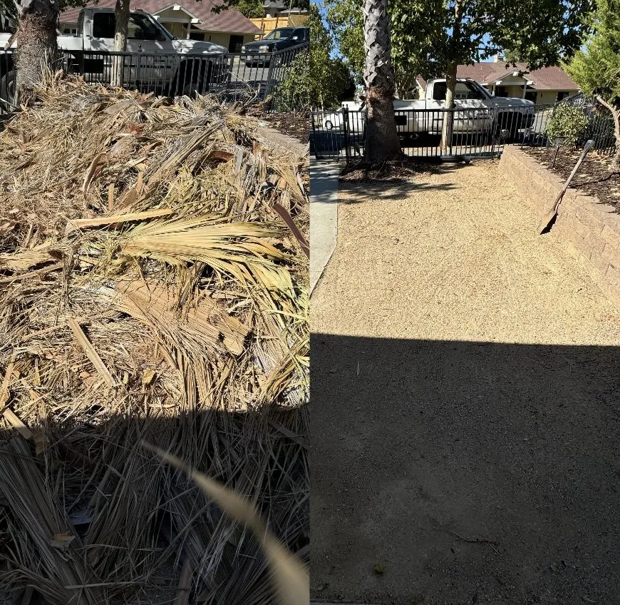 Top-rated landscaping services for homes across Paso Robles, CA - 805 Lawn Care