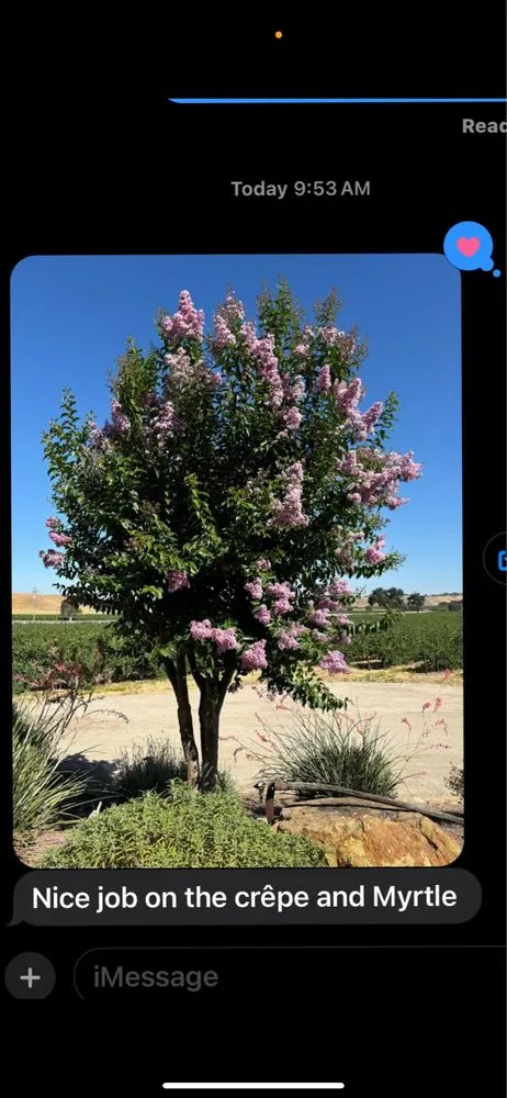 Trusted residential landscaping in Paso Robles, CA by 805 Lawn Care