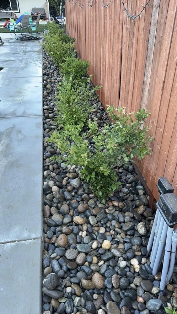 Local yard cleanup service experts serving Paso Robles, CA - 805 Lawn Care