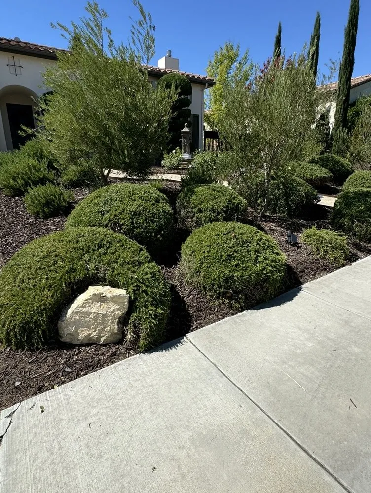 Top-rated landscape design for beautiful yards in Paso Robles, CA by 805 Lawn Care