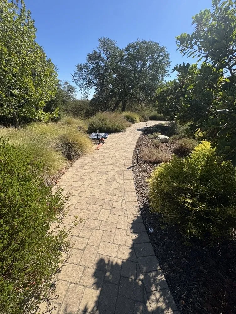 Local residential landscaping for residential properties across Paso Robles, CA - 805 Lawn Care