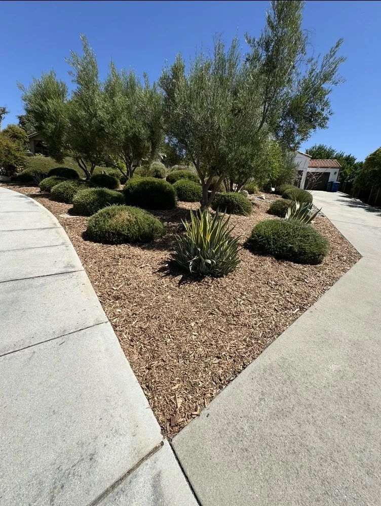 Custom landscaping services experts serving Paso Robles, CA - 805 Lawn Care