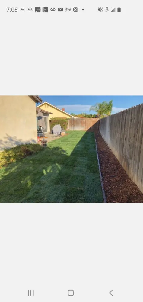 Custom yard cleanup service in Santa Paula, CA - 805 Majestic Landscapes