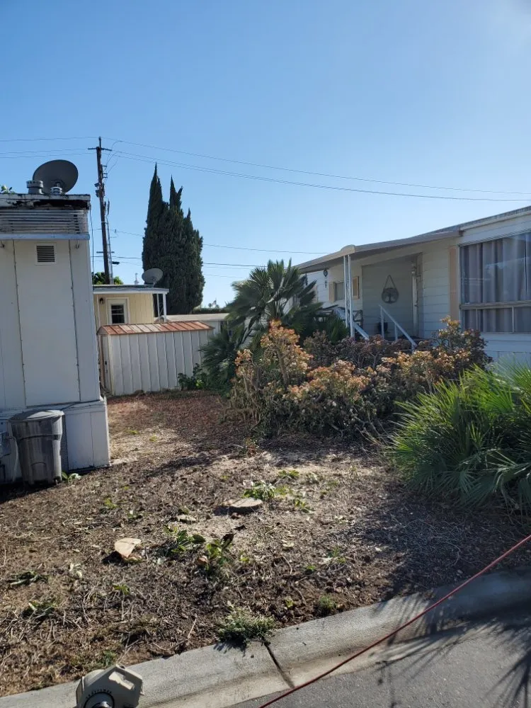 Custom yard cleanup service in Santa Paula, CA by 805 Majestic Landscapes