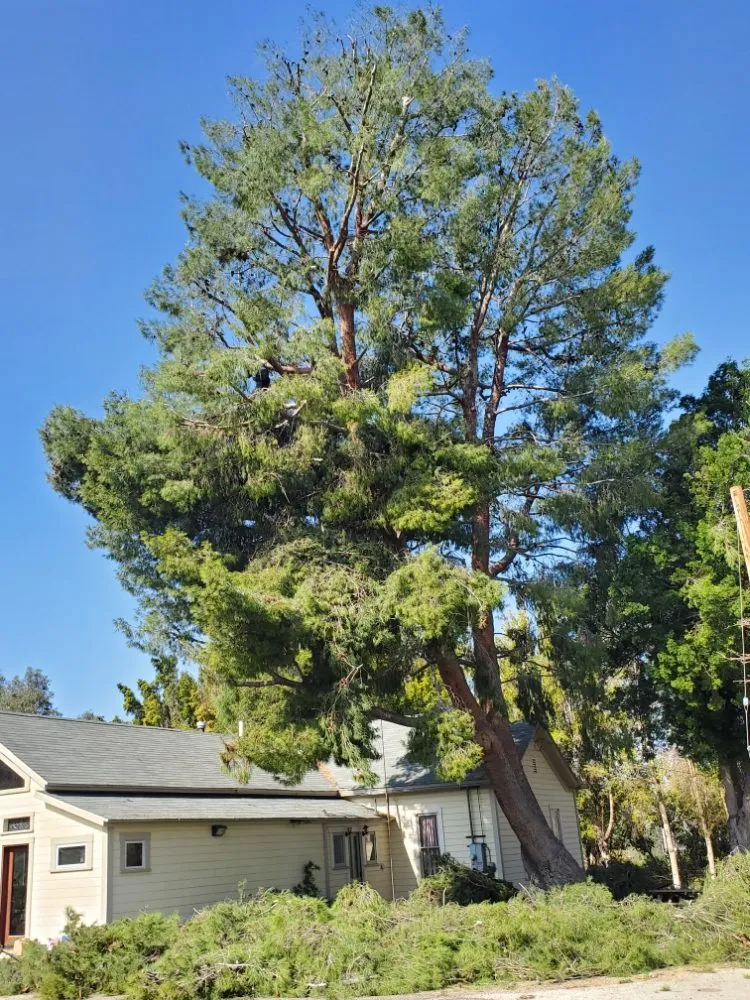 Trusted garden landscaping in Santa Paula, CA by 805 Majestic Landscapes