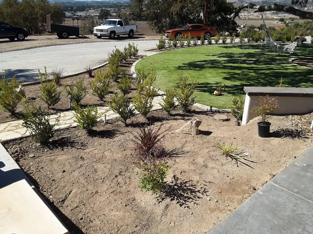 Reliable yard cleanup service for homes in Paso Robles, CA by 805West