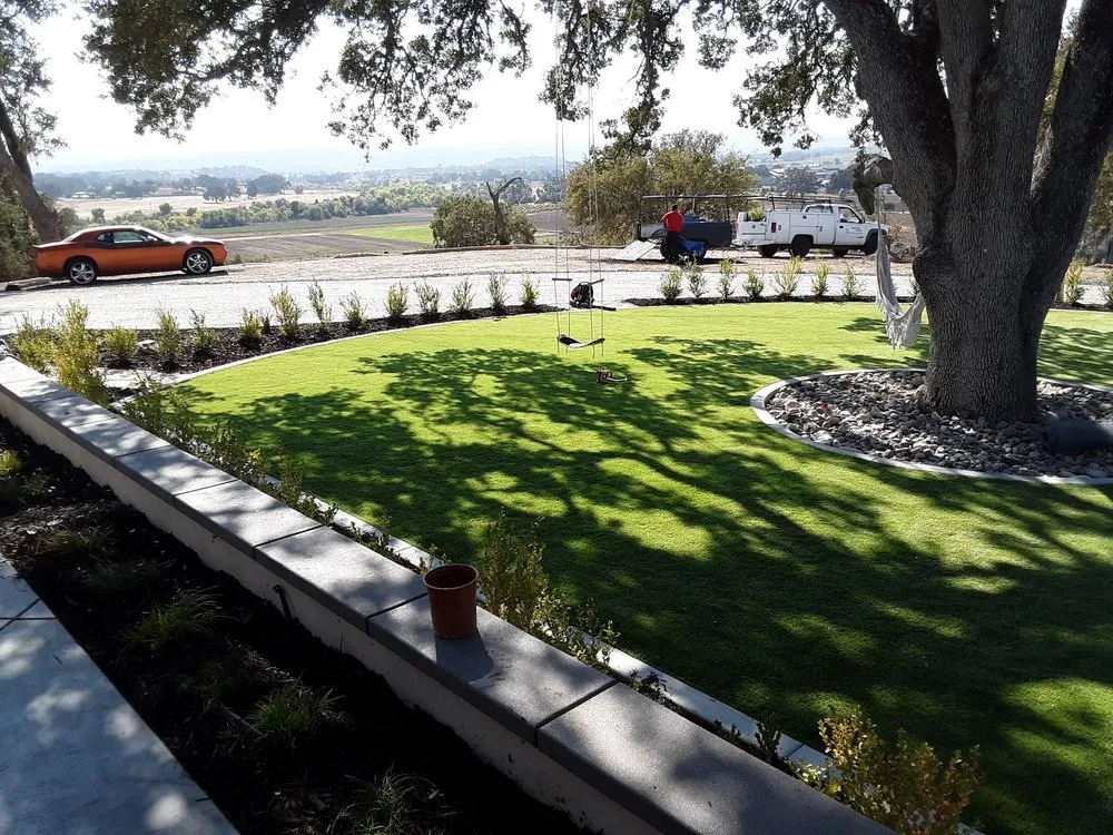 Reliable yard cleanup service for year-round maintenance in Paso Robles, CA by 805West