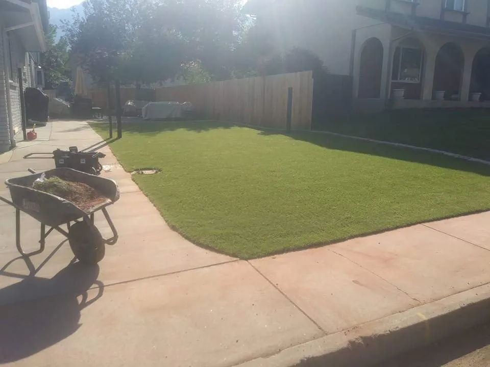 Custom landscaping services for year-round maintenance in Olton, TX by 806 AstroTurf