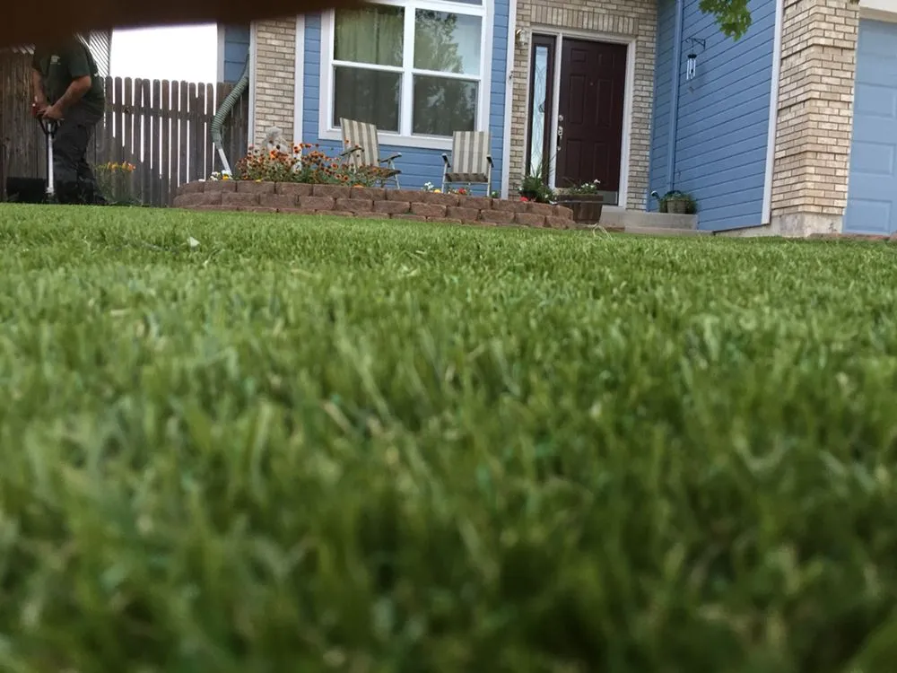 Reliable outdoor landscaping for year-round maintenance in Olton, TX by 806 AstroTurf