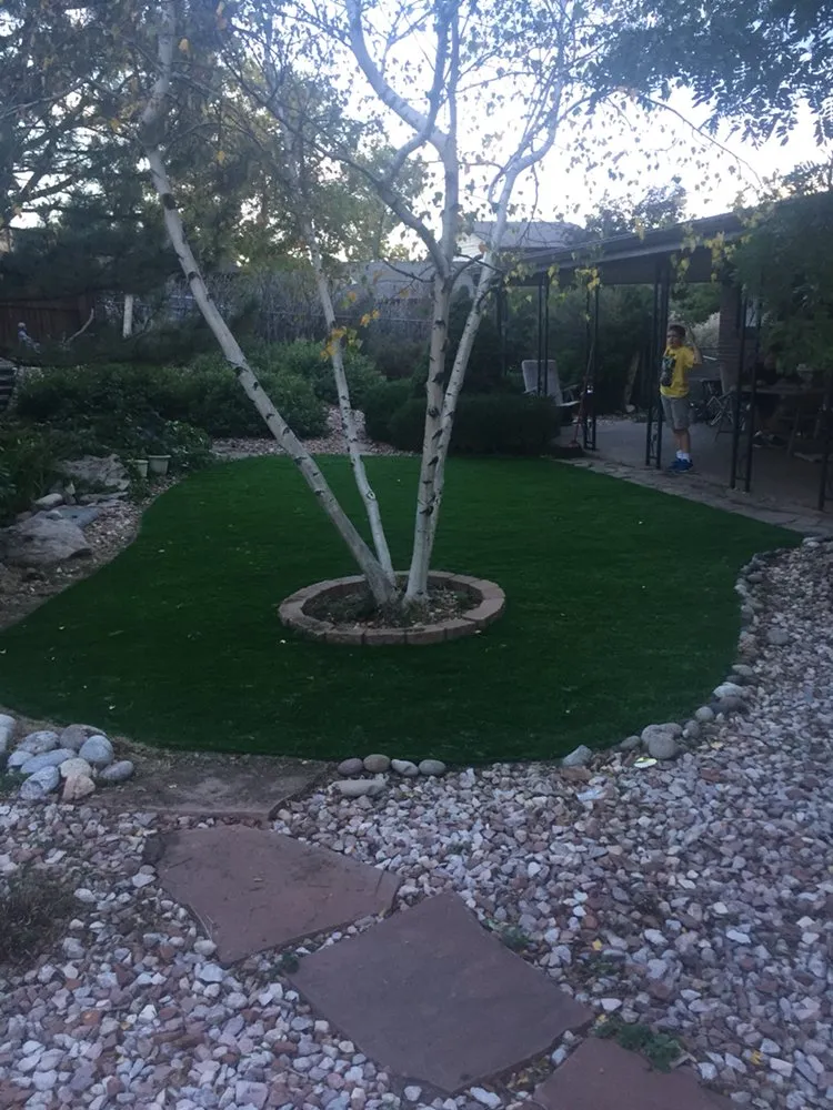 Custom yard cleanup service for residential properties in Olton, TX by 806 AstroTurf