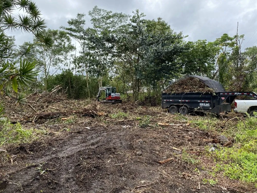 Professional residential landscaping in Keaau, HI - 808 Killa Creations