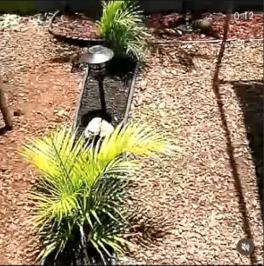 Reliable landscape installation near you across Wahiawa, HI - 808islandview Landscaping and Property Maintenance