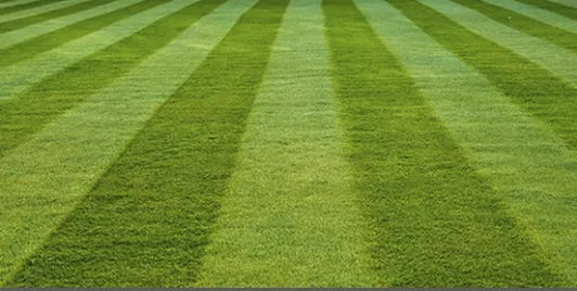 Top-rated lawn mowing service for beautiful yards in Evansville, IN by 812 E & G LAWN CARE