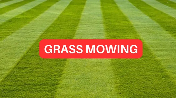 Affordable yard cleanup service in Evansville, IN - 812 E & G LAWN CARE