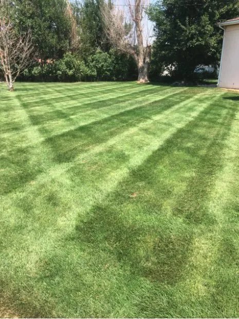 Affordable lawn care service for beautiful yards in Evansville, IN by 812 E & G LAWN CARE