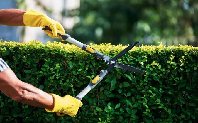 Expert garden landscaping in Evansville, IN by 812 E & G LAWN CARE